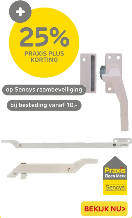 Aanbieding: Raambeveiliging