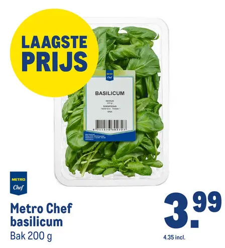 Aanbieding: basilicum
