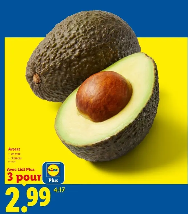 Offre: Avocat
