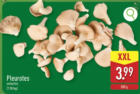 Offre: Pleurotes
