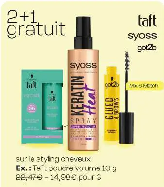 Offre: Styling cheveux