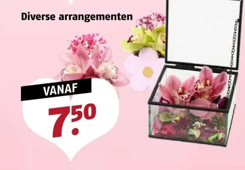 Aanbieding: Diverse arrangementen