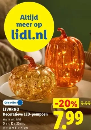 Aanbieding: Decoratieve LED-pompoen