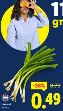 Aanbieding: Lente-ui