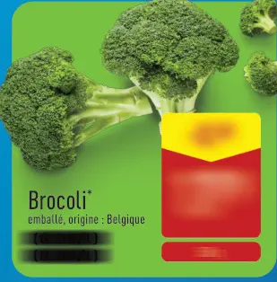 Offre: Brocoli