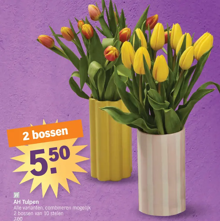 Promotie: Tulpen