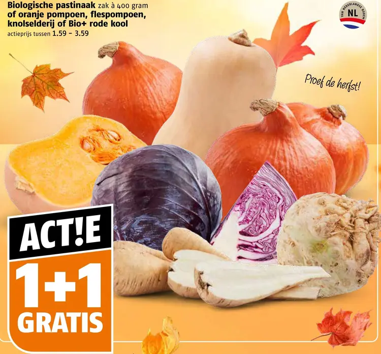 Aanbieding: Biologische pastinaak, oranje pompoen, flespompoen, knolselderij of rode kool