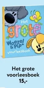Aanbieding: Het grote voorleesboek