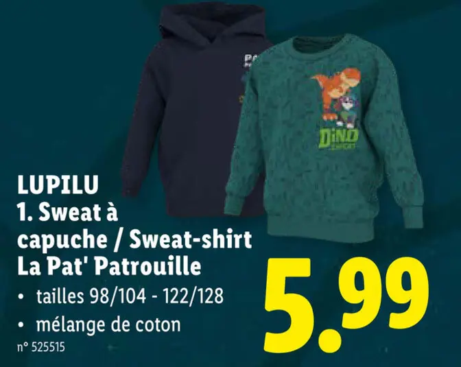 Offre: Sweat à capuche / Sweat-shirt