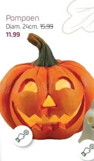 Aanbieding: Pompoen