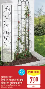 Offre: Treillis en métal pour plantes grimpantes