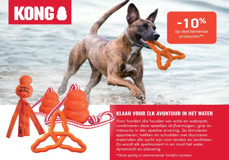 Promotie: KONG Water Toys