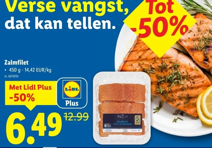 Promotie: Zalmfilet