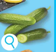 Offre: Concombres snack
