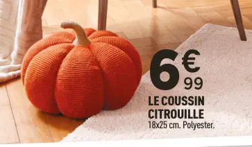 Offre: Le coussin citrouille
