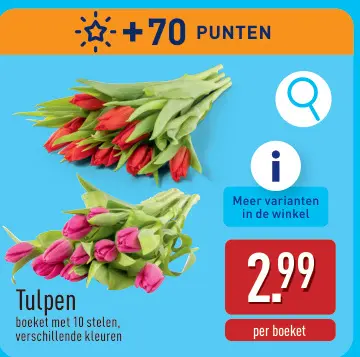 Promotie: Tulpen