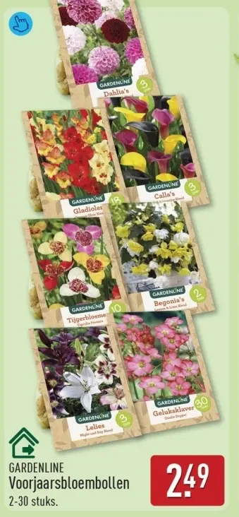 Aanbieding: Voorjaarsbloembollen