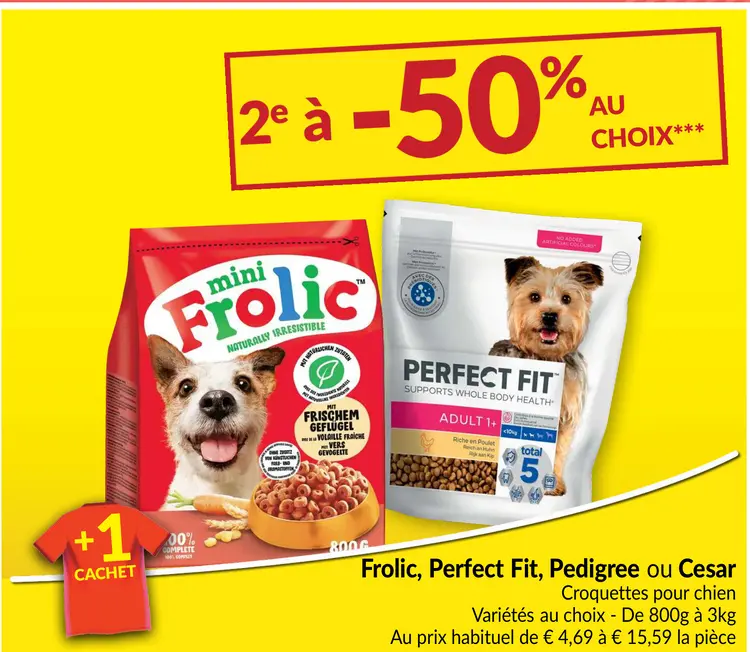 Offre: Croquettes pour chien