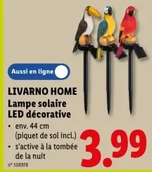 Offre: Lampe solaire LED décorative