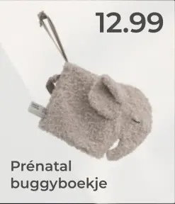 Aanbieding: Buggyboekje