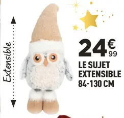Offre: Le sujet extensible