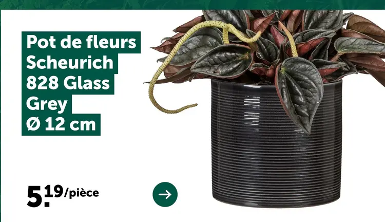 Offre: Pot de fleurs