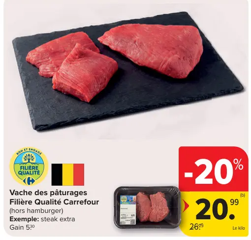 Offre: Vache des pâturages