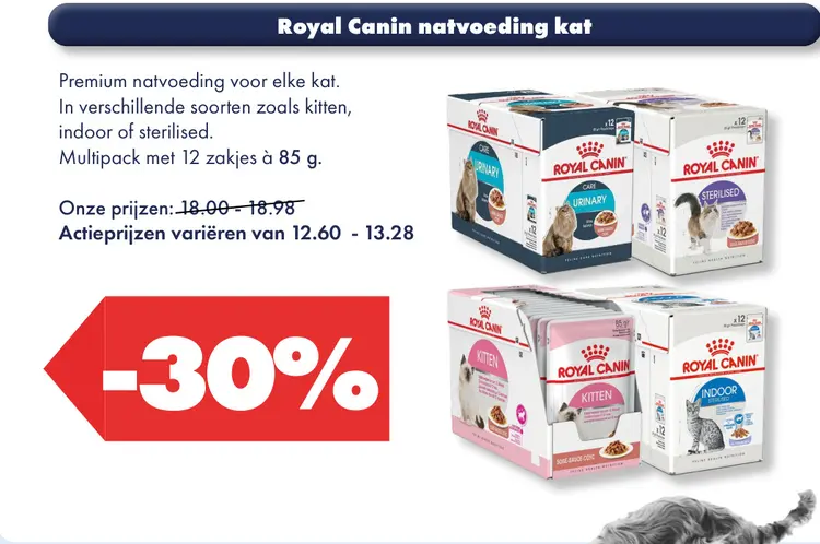 Aanbieding: Natvoeding kat