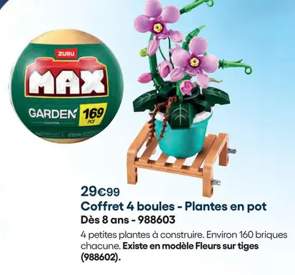 Offre: Coffret 4 boules - Plantes en pot