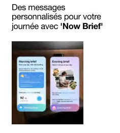 Offre: Now Brief