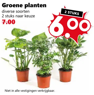 Aanbieding: Groene planten