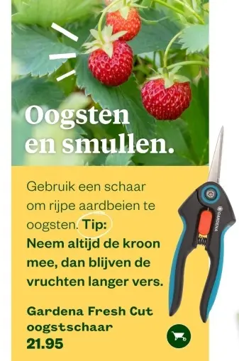 Aanbieding: Fresh Cut oogstschaar