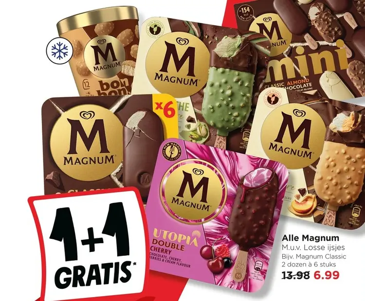 Aanbieding: Alle Magnum