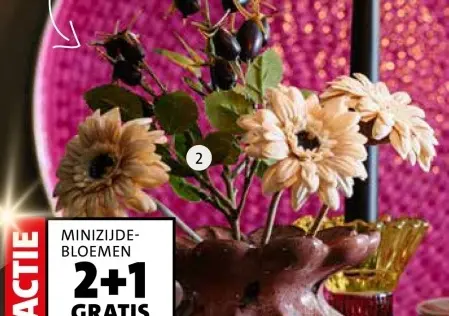 Aanbieding: Minizijde-bloemen