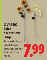 Aanbieding: Solar decoratieve lamp