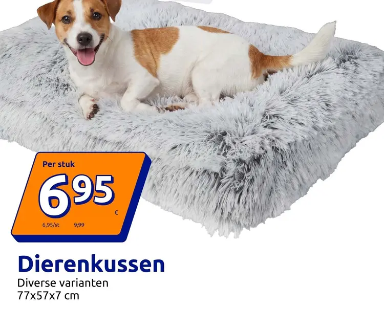 Promotie: Dierenkussen