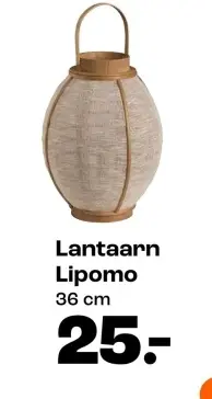 Promotie: Lantaarn Lipomo