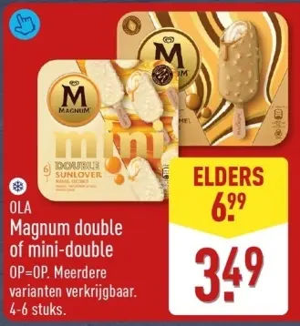 Aanbieding: Magnum double of mini-double