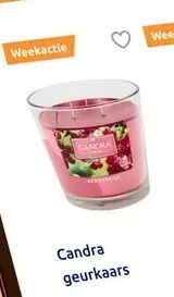 Promotie: Candra Geurkaars