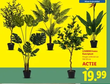 Aanbieding: Kunstplant