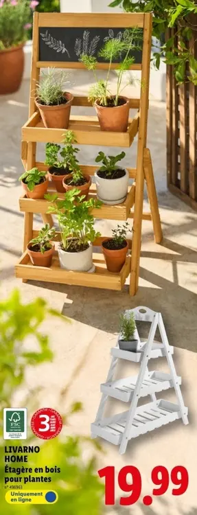 Offre: Étagère en bois pour plantes