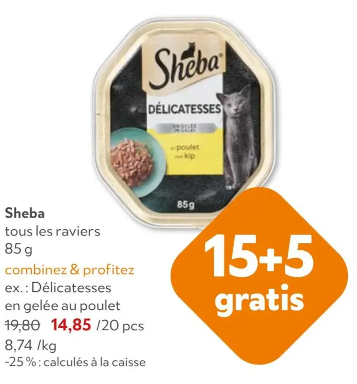 Offre: Raviers nourriture pour chats