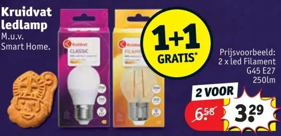 Promotie: Kruidvat ledlamp