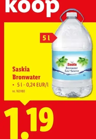 Aanbieding: Saskia Bronwater