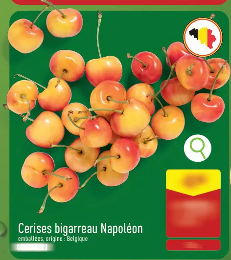 Offre: Cerises bigarreau Napoléon