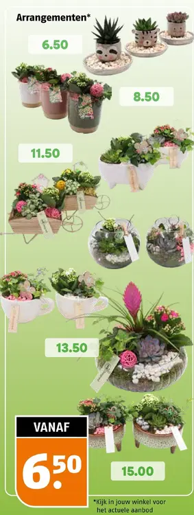 Aanbieding: Arrangementen