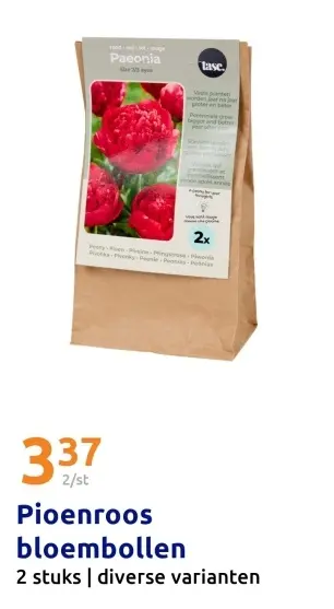 Aanbieding: Pioenroos bloembollen