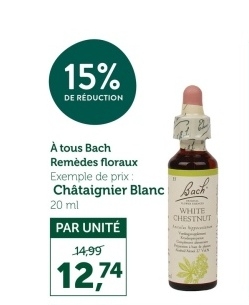 Offre: Châtaignier Blanc