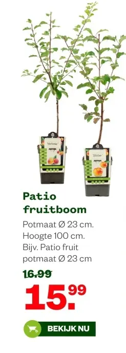 Aanbieding: Patio fruitboom