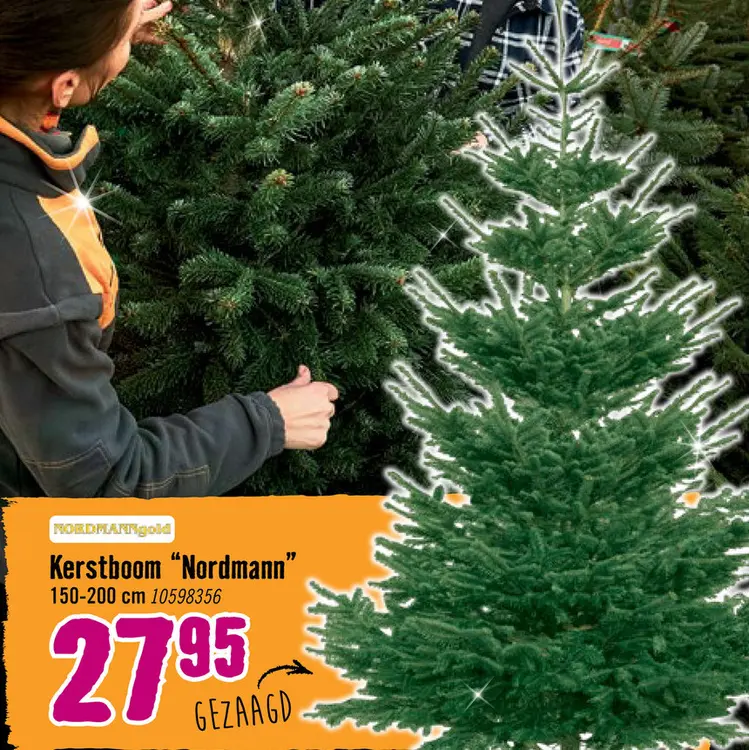 Aanbieding: NORDMANN GOLD Kerstboom gezaagd 150 - 200 cm